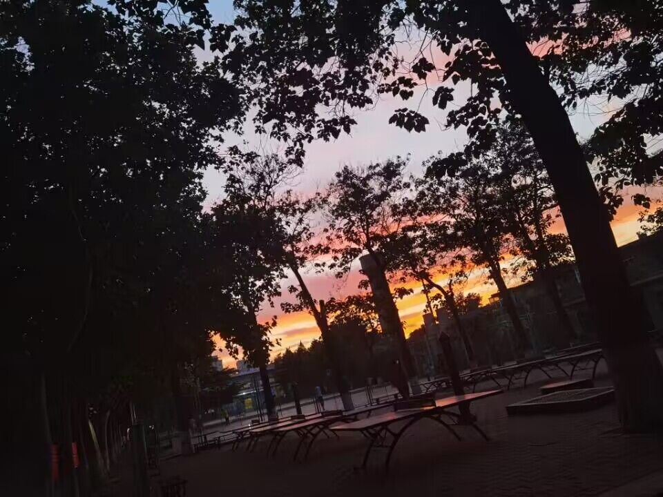 437ccm·必赢国际