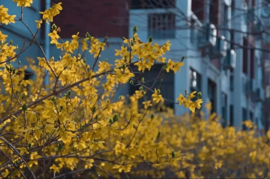 437ccm·必赢国际