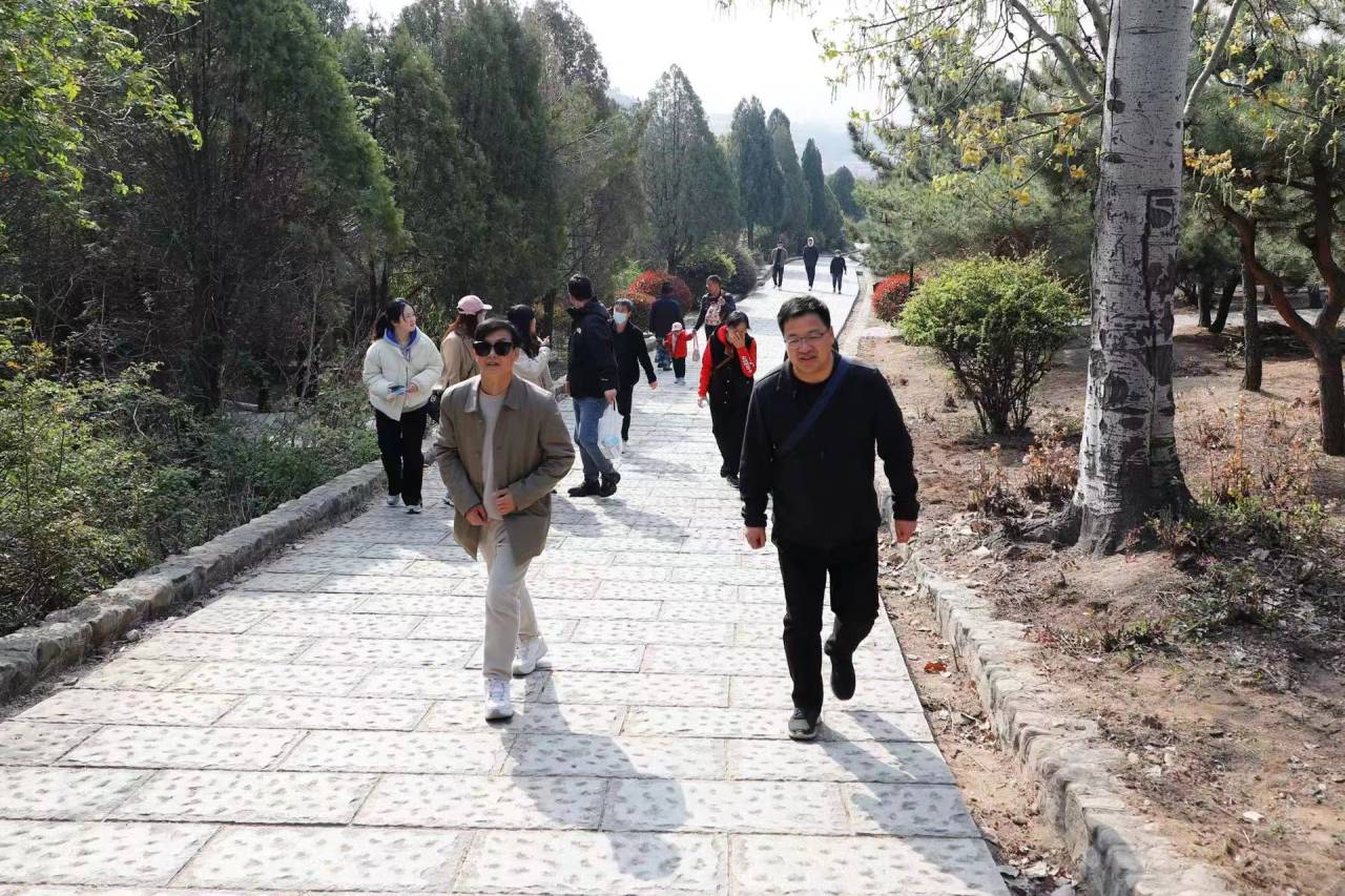 437ccm·必赢国际