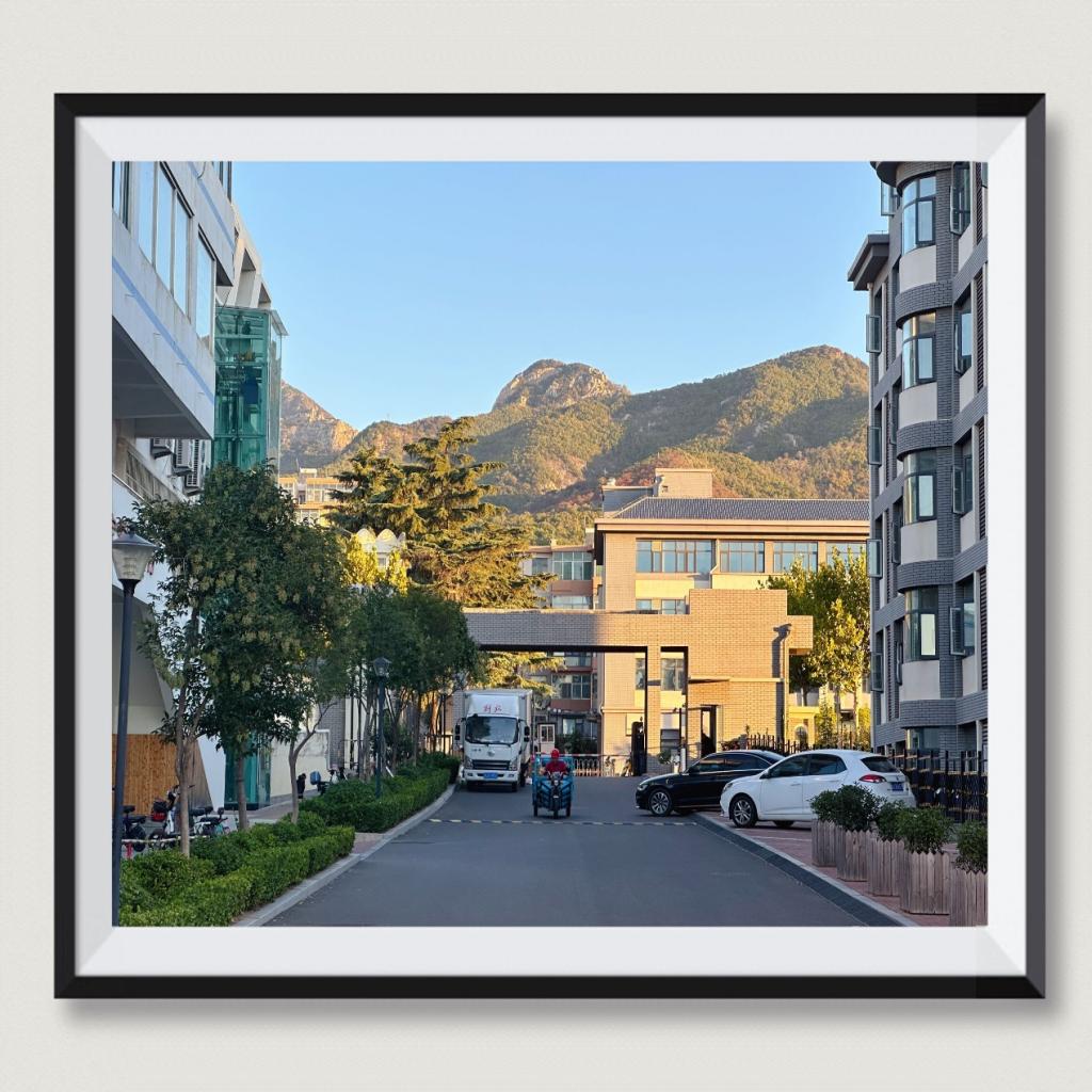 437ccm·必赢国际