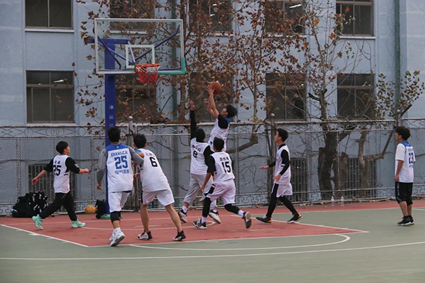 437ccm·必赢国际