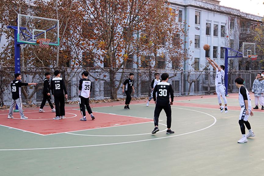 437ccm·必赢国际