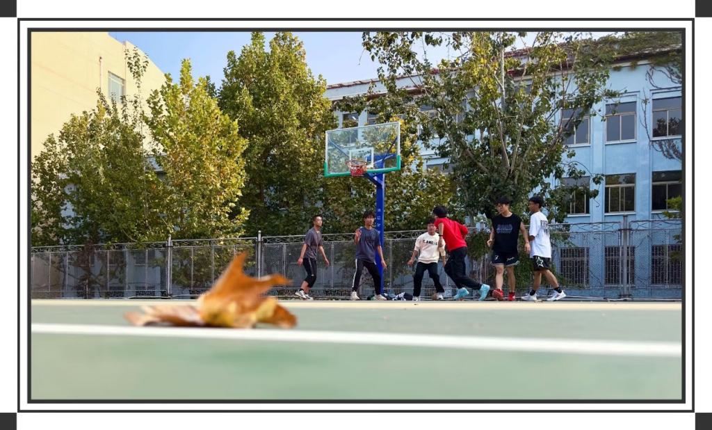 437ccm·必赢国际