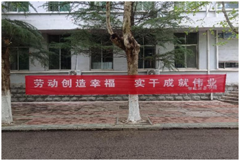 437ccm·必赢国际