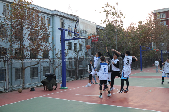 437ccm·必赢国际