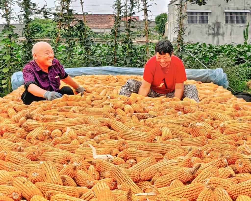 437ccm·必赢国际