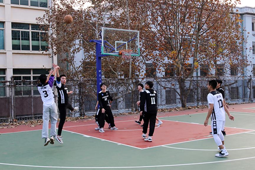 437ccm·必赢国际