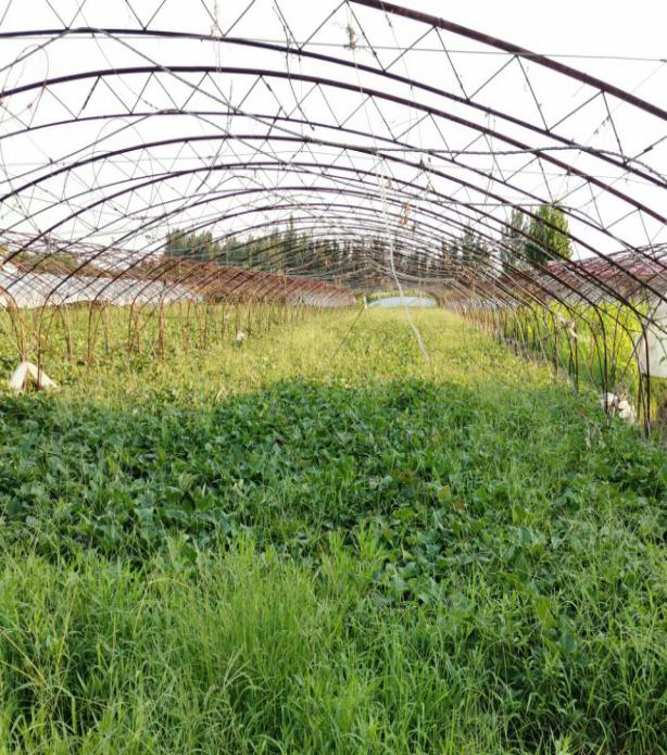 437ccm·必赢国际