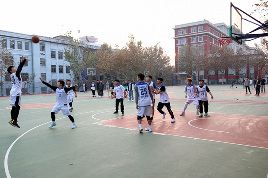 437ccm·必赢国际